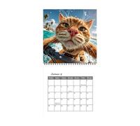 Calendrier Mural Chat 2027 Planificateur Planning Décoratif 12 Mois
