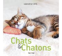 Calendrier Mural Chats & Chatons 2015