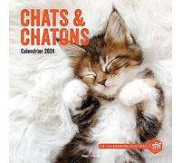 Calendrier mural chats et chatons 2024