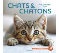 Calendrier mural Chats et Chatons 2026 - Collectif - Hugo Image - broché - Calendrier