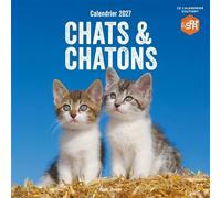 Calendrier mural Chats et Chatons 2027 - Collectif - Hugo Image - broché - Calendrier