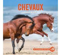 Calendrier mural Chevaux 2026 - Collectif - Hugo Image - broché - Calendrier