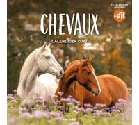 Calendrier mural Chevaux 2027