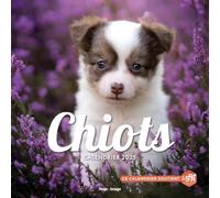 Calendrier mural chiots 2025
