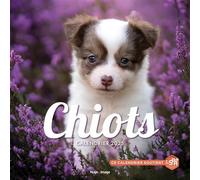 Calendrier mural chiots 2025 - Collectif - Hugo Image - broché - Calendrier