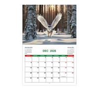 Calendrier Mural Chouettes,Calendrier Hiboux pour Mur - Motif Animal, Janvier - Décembre 2026, Planificateur pour École Maison Lieu de Travail Planification Organisation