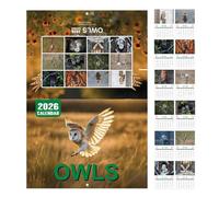 Calendrier Mural Chouettes | Organiseur Calendrier Hiboux Mensuel | Grandes Cases à Lignes, de Janvier à Décembre 2026, Planificateur pour Salle de Sport Maison École Lieu de Travail Planification Org