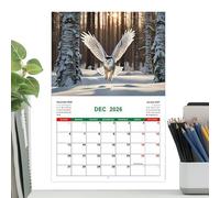 Calendrier Mural Chouettes - Organiseur Calendrier Hiboux Mensuel | Janvier à Décembre 2026 Motif Animal Organiseur pour Bureau École Salle de Sport