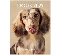 Calendrier Mural Compact 2025 Avec 12 Photos Thème Chiens - 14x18 Cm - Sept 2024 À Déc 2025-7 Langues - Haute Qualité - Design Élégant - Organisation Quotidienne