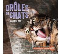 Calendrier mural drôles de chats 2025