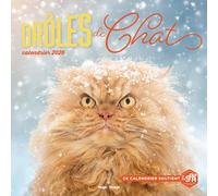 Calendrier mural Drôles de chats 2026