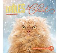 Calendrier mural Drôles de chats 2026 - Collectif - Hugo Image - broché - Calendrier