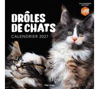 Calendrier mural Drôles de chats 2027 - Collectif - Hugo Image - broché - Calendrier
