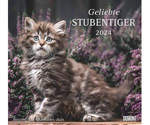 Calendrier mural Dumont 2024 - Motif tigre d'amour - Avec les jours fériés les plus importants - Format 38 x 35,5 cm