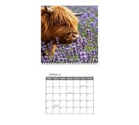 Calendrier mural en forme de vache 12 mois annuel rustique à spirale | Calendrier mural de bureau pour l'école, les études, le ménage, l'exercice, les vacances, les fêtes d'anniversaire