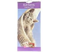 Calendrier mural fin 2026 à spirale, scénique, postal, enveloppe, élégant et compact. Large gamme de motifs (30 x 14 cm) (chatons)