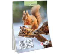 Calendrier mural fin 2026 de la faune britannique - Cadeaux de Noël pour elle - Idées de remplissage pour homme - Affichage mensuel pour les amoureux de la nature - Calendrier britannique avec 12