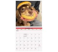 Calendrier mural imprimé chien planificateur de gestion du planning | Calendrier mensuel mural pour salle à manger, chambre à coucher, salle de ortoir, étude, étudiants, enfants