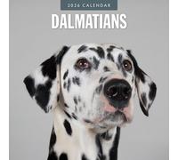 Calendrier mural mensuel 2026 Dalmatiens Red Robin | 30,5 x 61 cm ouvert | Papier épais et robuste de qualité supérieure | Calendrier de 12 mois à suspendre | Notes lignées et zone de choses à faire |