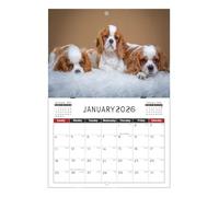 Calendrier mural mensuel en forme de chien, artistique et mignon | Pour planifier, étudier, maison, lieu de travail, bureau, table d'organisation familiale, école et amis