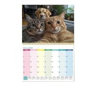 Calendrier mural motif chat : joli planificateur imprimé, organisateur de vacances 2026, graphique suspendu, surface simple pour écrire | Planificateur de calendrier de vacances