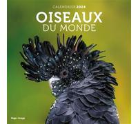 Calendrier mural oiseaux du monde 2024 - Collectif - Hugo Image - broché - Calendrier