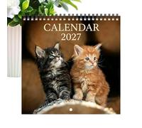 Calendrier Mural Planificateur 12 Mois Motifs Chats Poster Planning