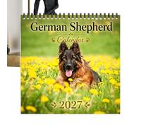 Calendrier Mural Planner Grandes Cases Dates Gestion du Temps