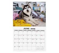 Calendrier mural sur le thème husky - Calendrier d'organisation portable 2025 - Planificateur mural annuel léger - Planificateur annuel durable et intéressant - Calendrier mural décoratif avec chien