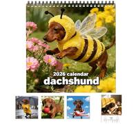 Calendrier mural Teckel 2026, 12 mois, avec de jolies photos de teckels, calendrier familial sur le thème des chiens, pour les amoureux des teckels