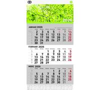 Calendrier mural trimestriel oeco 2026