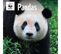 Calendrier mural WWF Pandas 2026 - Photographie de la faune sauvage - Collection officielle World Wildlife Fund