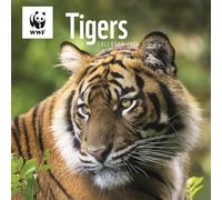 Calendrier mural WWF Tigers 2026, photographie de la faune, collection officielle World Wildlife Fund