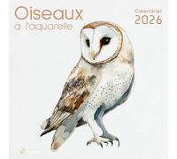 Calendrier Oiseaux À L'aquarelle