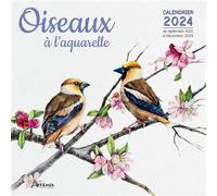 Calendrier Oiseaux à l'aquarelle 2024 - Collectif - Artemis Eds - broché - Calendrier