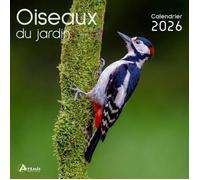 Calendrier - Oiseaux du jardin - 2026 - 16 mois - Septembre 2025 à Décembre 2026