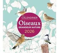 Calendrier Oiseaux grandeur nature 2026