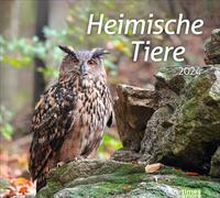 Calendrier photo 2024 animaux domestiques. Retrouvez les habitants des prairies et des forêts locales dans ce calendrier décoratif. Un calendrier mural 2024 avec des photos d'animaux de haute qualité.