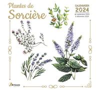 Calendrier Plantes de sorcière 2024
