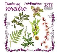 Calendrier Plantes de sorcière 2025