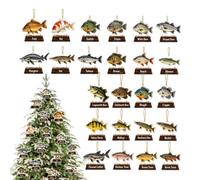 Calendrier poisson 2026 2D acrylique mini poisson 24 jours ornement | Calendrier de pêche 24 jours pour père, mari, petit ami, grand-père, adolescent, pêcheur, adulte, famille, fête, maison