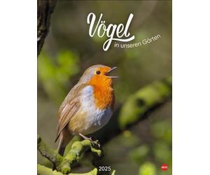 Calendrier poster 2025 oiseaux dans nos jardins : de nombreuses photos et textes informatifs sur 12 espèces d'oiseaux dans un calendrier mural fascinant. Calendrier décoratif à valeur ajoutée pour les