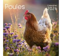Collectif – Calendrier poules 2026 – Artemis – broché