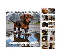 Calendrier Pour Chien 2027 12 Mois Drôle Mignon Épais Planificateur De | Calendrier Animal Pour L'Organisation Et La Planification À La Maison Au Bureau En Salle De Classe