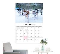 Calendrier pour chiots 2025, calendrier amusant pour chiots 2025, calendrier mural pour chiens mignon, calendrier créatif familial pour , adolescent