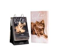 Calendrier quotidien 2026 motif chat - 365 jours d'art mignon - Pages détachables comme cartes postales, décoration de bureau à anneaux et cadeau pour le Nouvel An et la Saint-Valentin