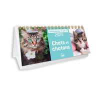 Calendrier semainier 2025 Chats et chatons - Collectif - Editions 365 - relié - Calendrier
