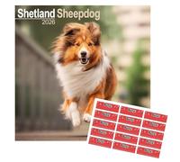 Calendrier Shetland Sheepdog 2026 | Calendrier mural carré de race canine Sheltie | Calendrier mural de 16 mois | De septembre 2025 à décembre 2026 | Avec autocollants d’organisation offerts