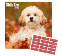 Calendrier Shih Tzu 2025, Calendrier Mural Carré pour Race de Chien, 16 Mois, Septembre 2024 - Décembre 2025, avec Autocollants Organisationnels Gratuits
