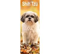 CALENDRIER SLIM 2026 SHIH TZU (av)- CHIEN DE RACE - Format 15x42 cm + offert un agenda de poche 2026